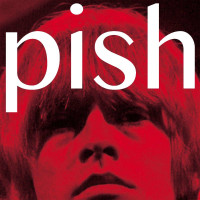 The Brian Jonestown Massacre: Mini Album Thingy Wingy