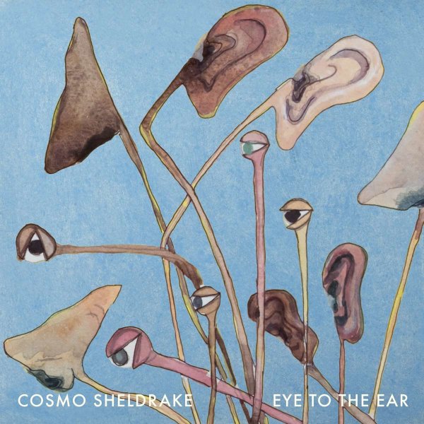 Cosmo Sheldrake: Eye To The Ear