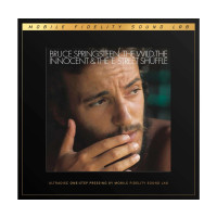 Bruce Springsteen: The Wild, The Innocent & The E...