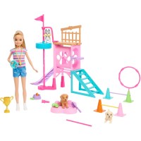 Entdecke das Barbie Family & Friends Stacies Puppy...