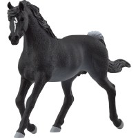 Horse Club Araber Hengst - Schleich 13981 - (Spielzeug /...