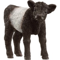 Farm World Galloway Kalb - Schleich 13969 - (Spielzeug /...