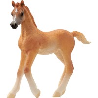 Horse Club Araber Fohlen - Schleich 13984 - (Spielzeug /...