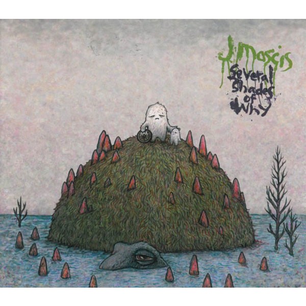 J Mascis: Several Shades Of Why