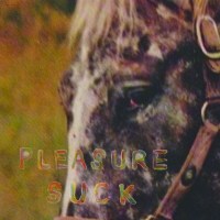 The Spirit Of The Beehive: Pleasure Suck (Limited...