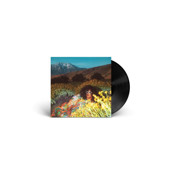 Brittany Howard: What Now (Black Vinyl)