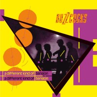 Buzzcocks: A Different Kind Of Tension (180g)