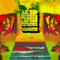 Acid Mothers Temple: Paralyzed Genius Brain (Limited...