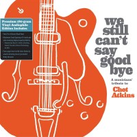 Various: We Still Cant Say Goodbye: A Musicians Tribute...