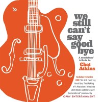 Various: We Still Cant Say Goodbye: A Musicians Tribute...