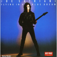 Joe Satriani: Flying In A Blue Dream