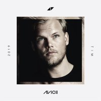 Avicii: Tim