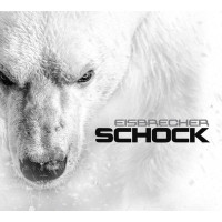 Eisbrecher: Schock