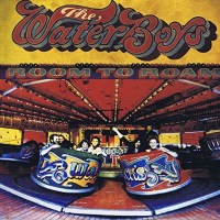 The Waterboys: Room To Roam (Collectors Edition)