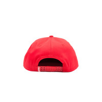 Deadpool Snapback Cap Big Face