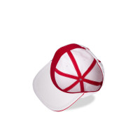 Assassins Creed - Mens Snapback Cap