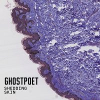 Ghostpoet: Shedding Skin