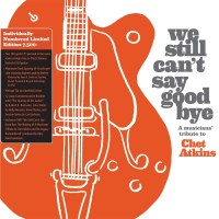 Various: We Still Cant Say Goodbye: A Musicians Tribute...