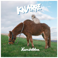 Knarre: Hundeleben (Clear Grey Marble Vinyl) (45 RPM)