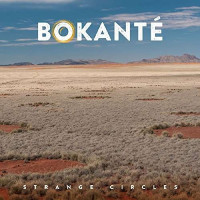 Bokanté: Strange Circles