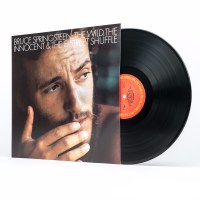 Bruce Springsteen: The Wild, The Innocent & The E...