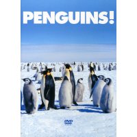 Penguins!