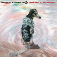 Pure Reason Revolution: Coming Up To Consciousness...