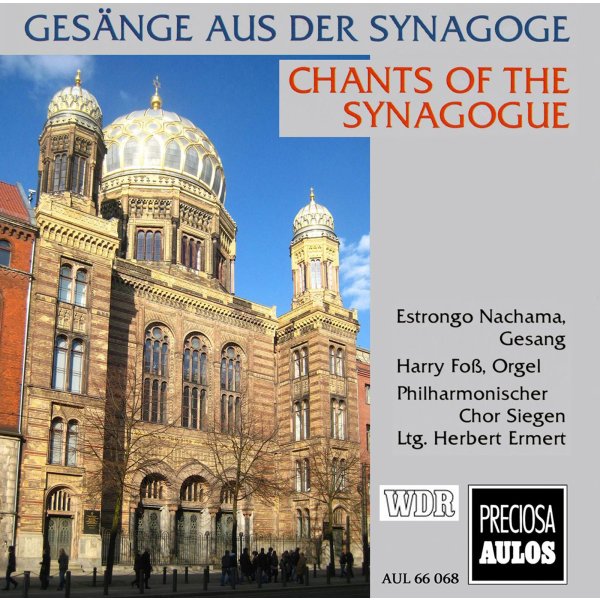 Various: Gesänge aus der Synagoge 1