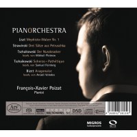 Various: Francois-Xavier Poizat - PianOrchestra Vol.1