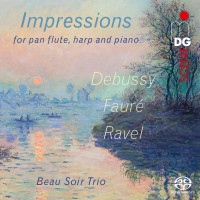 Various: Beau Soir Trio - Impressions