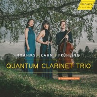 Various: Quantum Clarinet Trio - Brahms / Kahn /...