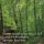 Antonin Dvorak (1841-1904): Symphonien Nr.7-9