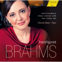 Various: Petronel Malan - Transfigured Brahms