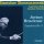 Anton Bruckner (1824-1896): Symphonie Nr.5