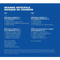 Johannes Brahms (1833-1897): Kammermusik Vol.6