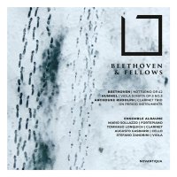 Various: Ensemble Alraune - Beethoven & Fellows