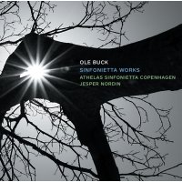 Ole Buck: Sinfonietta Works