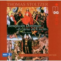 Thomas Stoltzer (1480-1526): Deutsche & lateinische...