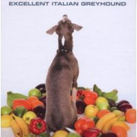 Shellac: Excellent Italian Greyhound