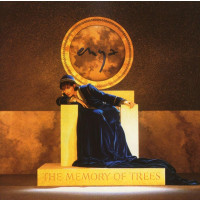 Enya: The Memory Of Trees