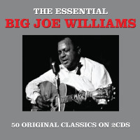 Big Joe Williams (Guitar/Blues): The Essential