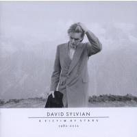 David Sylvian: A Victim Of Stars 1982 - 2012