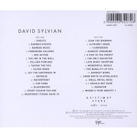 David Sylvian: A Victim Of Stars 1982 - 2012