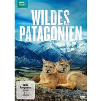 Wildes Patagonien