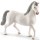 Schleich - Lipizzaner Stallion