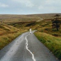 Jordan Rakei: The Loop (Limited Indie Edition)...