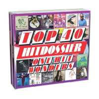 Various: Top 40 Hitdossier - One Hit Wonders