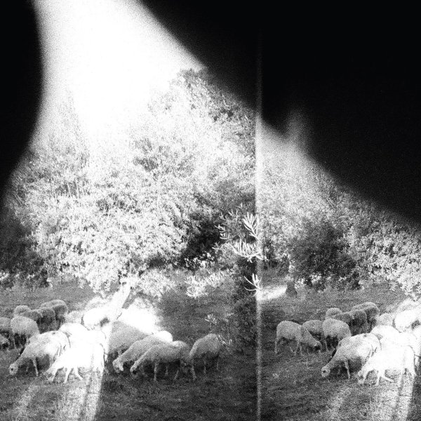 Godspeed You! Black Emperor: Asunder, Sweet And Other Distress