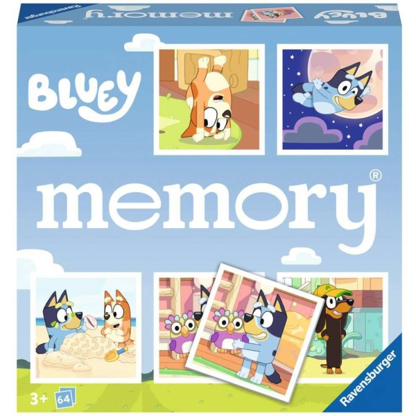 memory - Bluey