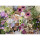 Puzzle Prachtvolle Blumenliebe (1000 Teile)